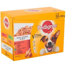 Pedigree Pouches 12x100gr In Jelly Mix Selection